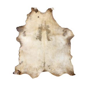 Bison rawhide