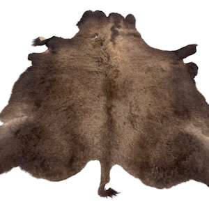 Buffalo / Bison Hide Rug Good Second