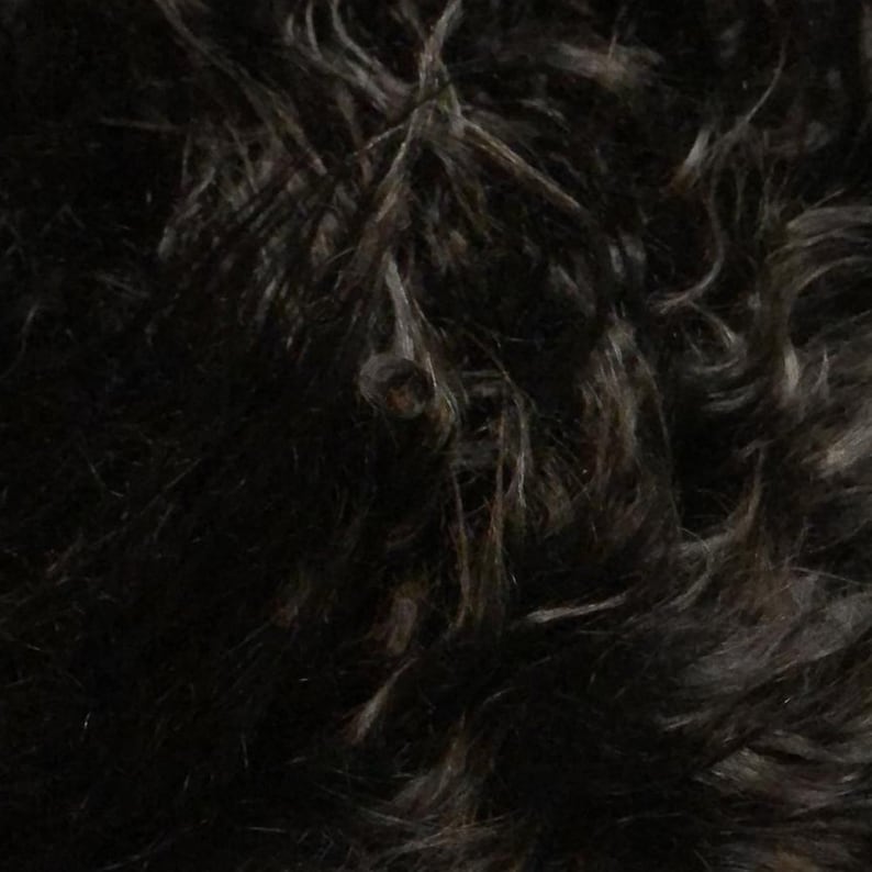First grade Black hair on angora hide
