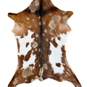 Goat Skin Rug - Tricolor