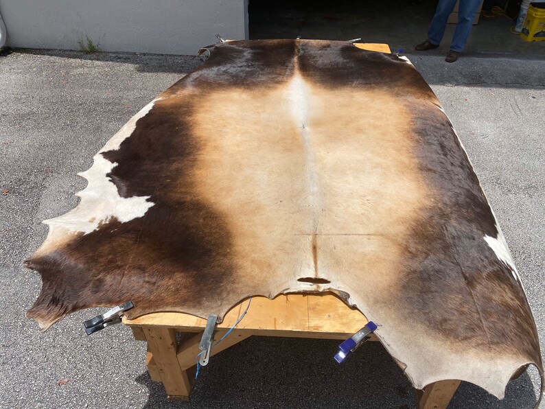 Hair on Cow Rawhide Etsy