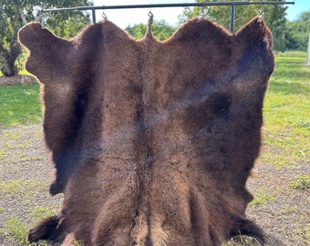 Bison / Buffalo Per square feet