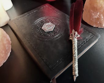 May include: A dark gray leather-bound journal with an embossed design and a silver D20 emblem. A decorative silver pen with a red feather rests on the journal. The scene is illuminated by soft lighting, suggesting a fantasy or role-playing theme.