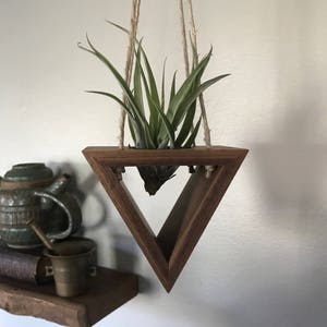 Hanging Air Fern / Succulent Holder (Walnut)