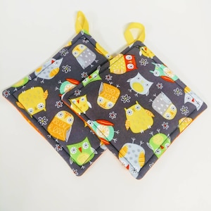 Pot holder for kitchen Pot Holder Set Oven Hot Pad Pot Holder for Cooking or Baking in a Grey Multicolored Owl Fabric Print