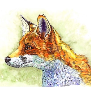 Red Fox Art Print from my watercolour painting. British Wildlife wall art picture gift. A4 or 8”x10” fox picture