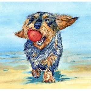 Wire Haired Dachshund Art Print | From My Watercolour Sausage Dog or Teckel Painting