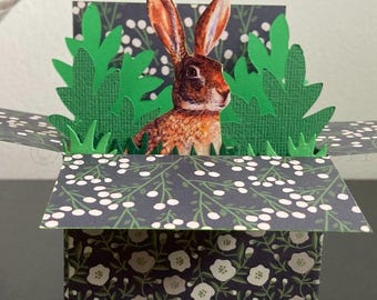Hare Card. 3D Box card, Blank or personalised; Birthday, Easter, Mothers Day, Fathers Day, Christmas. Gift card holder.