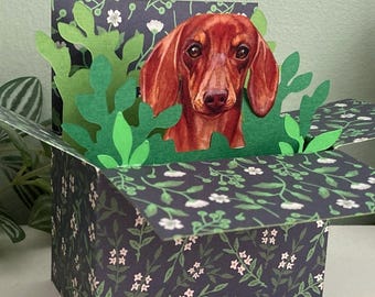 3D Dachshund Card: Personalised of Blank. Brown Sausage Dog Gift Card Holder.
