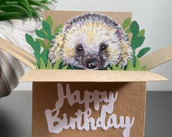3D Hedgehog Birthday Box Card: Handmade Wildlife Gift Card Holder