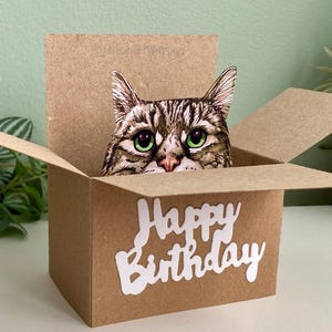 Tabby Cat Birthday Card; The Original Cat in a box card. 3D gift card holder for cat lover or from the cat.