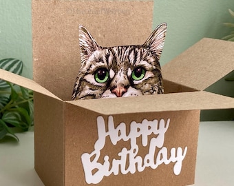 Tabby Cat Birthday Card; The Original Cat in a box card. 3D gift card holder for cat lover or from the cat.