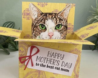 Tabby Cat Card; Personalised for any occasion. 3D Cat in a box gift card holder.