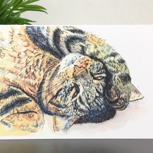 Tabby cat art card from my watercolour painting. Blank for any occasion for cat lover.