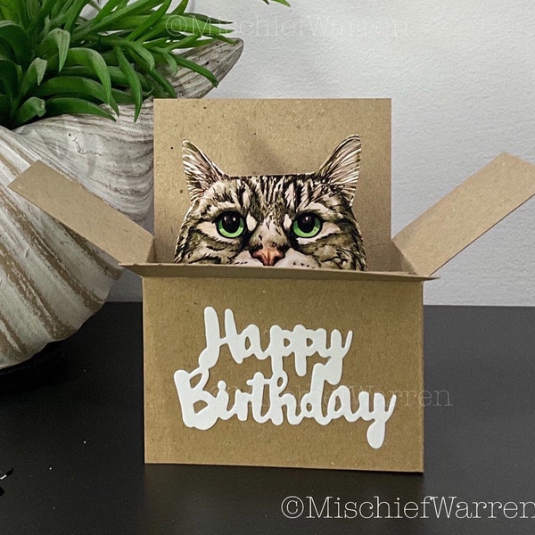Tabby Cat Birthday Card. The Original Cat in a box card. Happy Birthday 3D card for cat lover or from the cat. Gift Card holder.