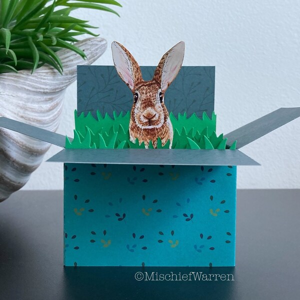 Brown Rabbit Card. Personalised 3D box card for; birthday, Easter, Mother’s Day, Father’s Day, Thank you. Gift card holder.