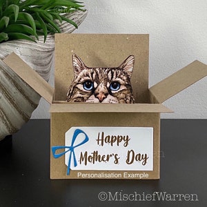 Grey Tabby Cat Box Card. The Original Cat in a box card. Personalised birthday, Mother’s Day, Father’s Day, Christmas. Gift card holder.