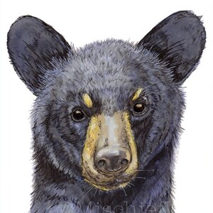 Black bear cub art print from my watercolour painting. Wildlife lovers picture gift for birthday, wedding or Christmas.