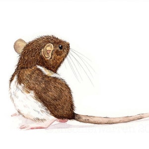 Rat Art Print from my watercolour painting. Wall Art Gift for Birthday, Wedding or Christmas for any rat lover.