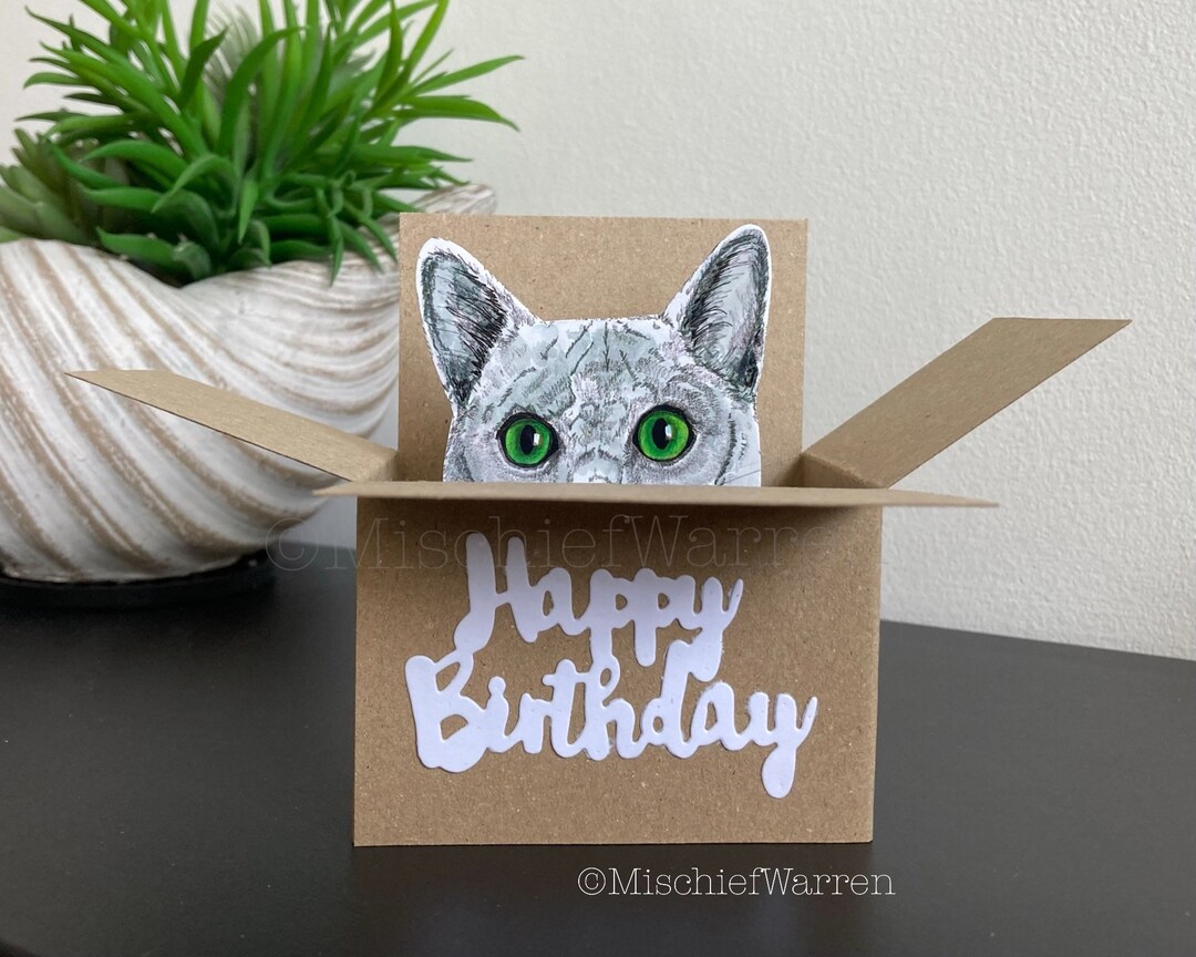 Grey Cat Happy Birthday Box Card. the Original Cat in a Box - Etsy
