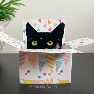 Black Cat Birthday Card. The Original Cat in a Box Card. Can be sent direct. 3D Birthday Gift card holder. Card from cat.