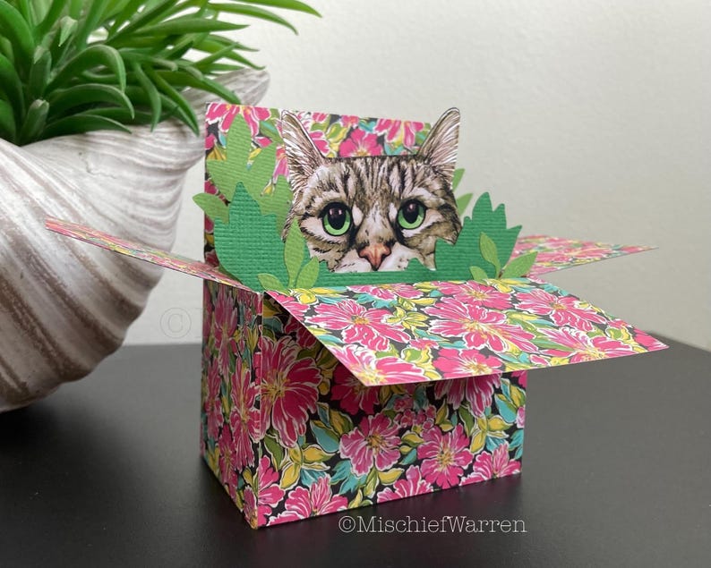 Tabby Cat 3D Box Card: Personalised Floral Gift Card Holder - Etsy