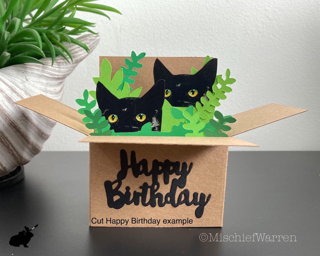 Custom Cats in a Box Card: Handmade, Personalised Gift Card Holder. - Etsy