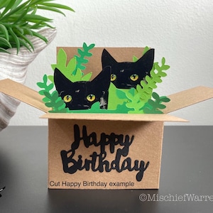 Customised Cat in a Box Card (with 2 cats + foliage). Blank or Personalised for any occasion. Handmade cat card made from recycled card.