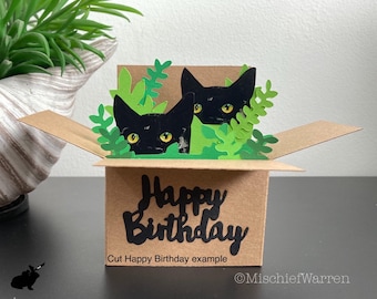 Custom Cats in a Box Card: Personalised. Gift card holder for birthday, fathers day, mothers day.
