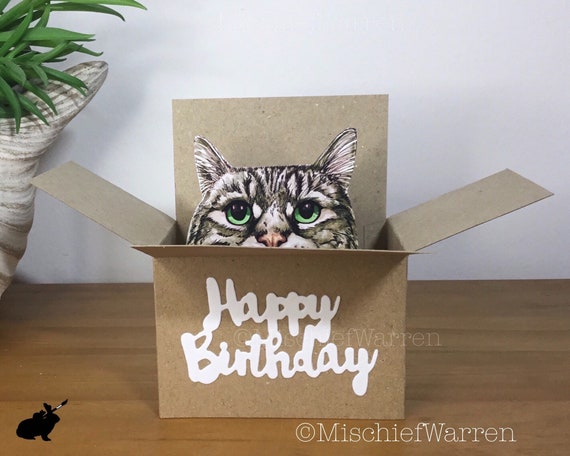 Tabby Cat Birthday Card. the Original Cat in a Box Card. Happy - Etsy UK