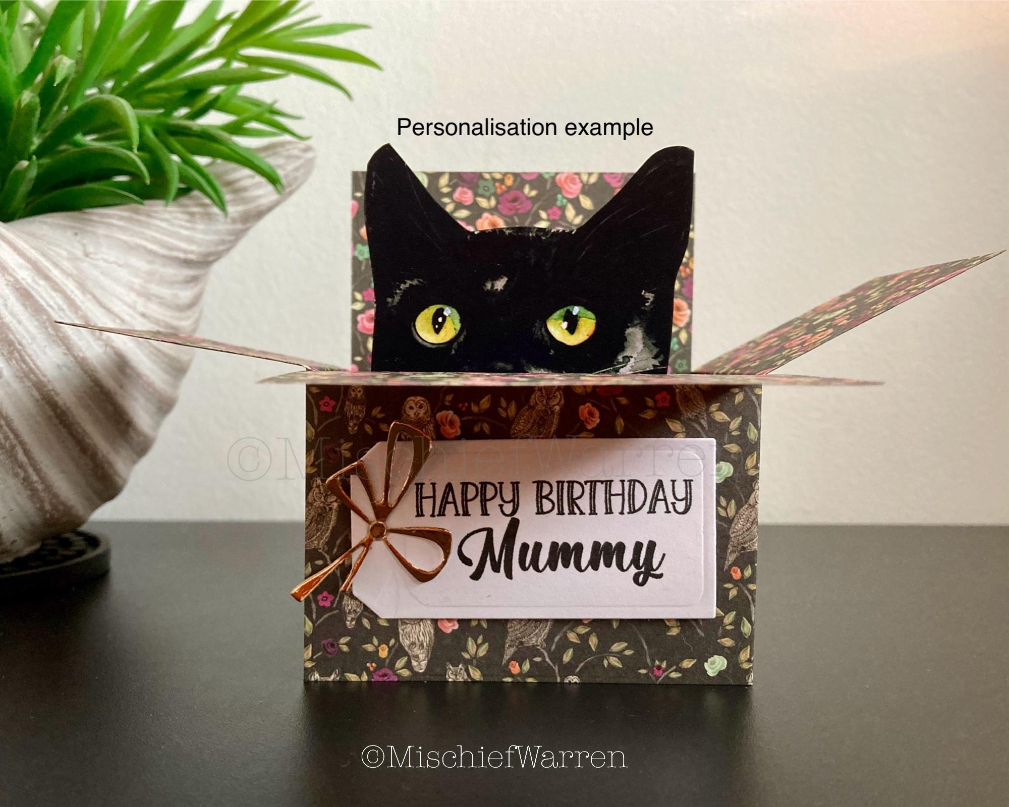 Black Cat Card. the Original Cat in a Box Card. Personalised; Birthday ...