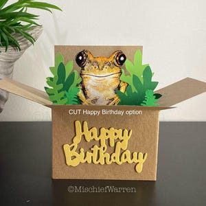 Frosch 3D Box Karte. Alles Gute zum Geburtstag oder personalisiert für; Muttertag, Ostern, Vatertag, Weihnachten. Geschenkkartenhalter.