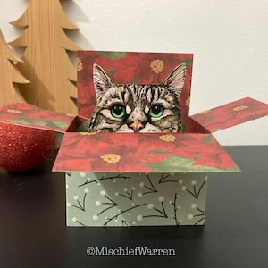 Grau getigerte Katze Weihnachtskarte. 3D Katzenbox Karte, personalisiert. Weihnachtsgeschenkkartenhalter.