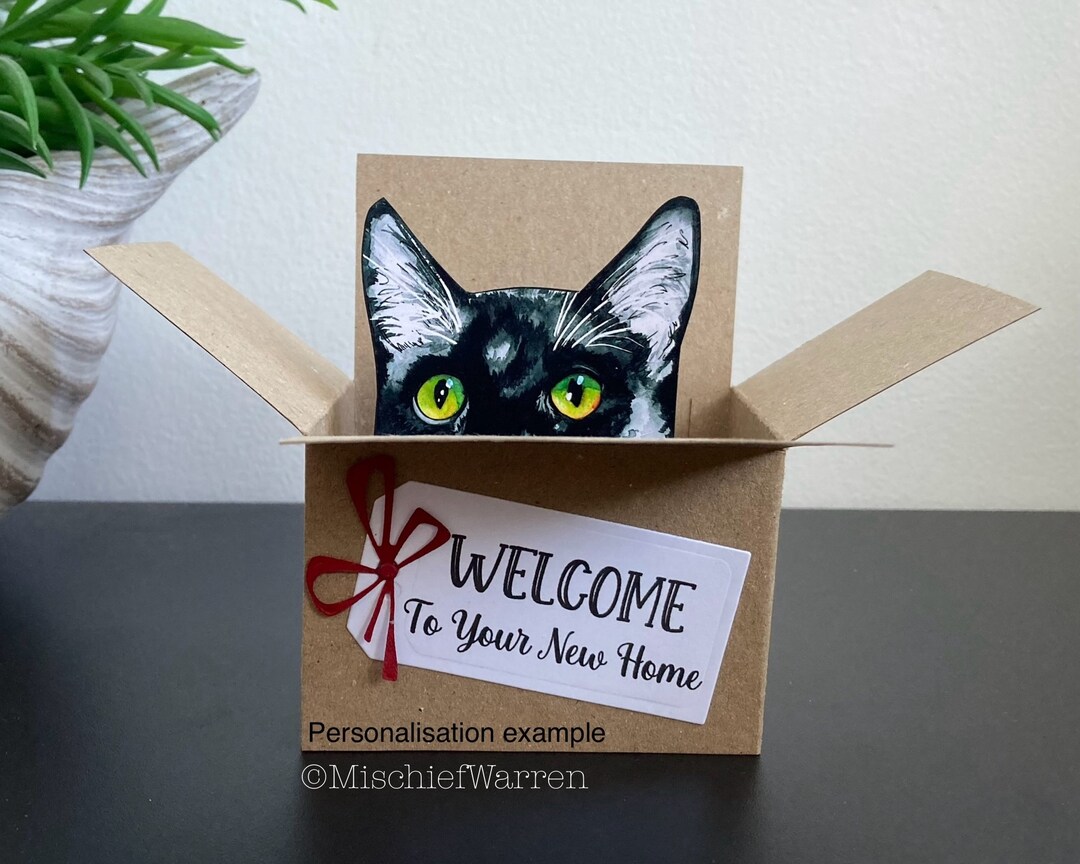 Black + White Cat Card. the Original Cat in a Box Card. Personalised ...