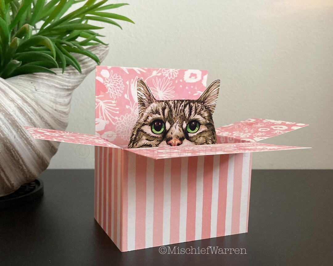 Grey Tabby Cat Box Card. the Original Cat in a Box Card. Personalised ...