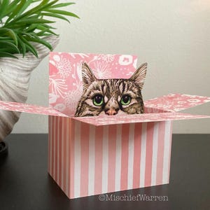 Grey Tabby Cat Box Card. The Original Cat in a box card. Personalised; Mother’s Day, Father’s Day, Thank you. Gift card holder.
