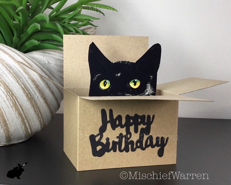 Black Cat Happy Birthday Card. The Original Cat in a box card. Can add your message, or gift card holder and send direct. image 10