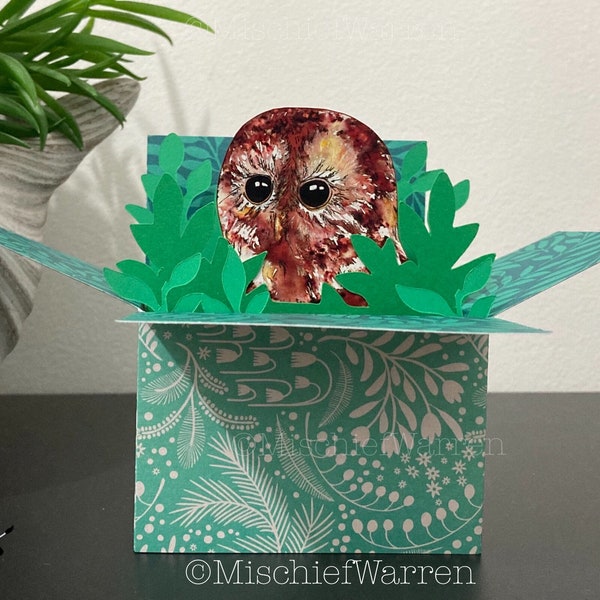 Owl Blank 3D Box Card. Blank or personalised for; Easter, birthday, Mothers Day or Fathers Day, Christmas, etc. Gift card holder.