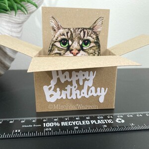 Tabby Cat Birthday Card; the Original Cat in a Box Card. 3D Gift Card ...