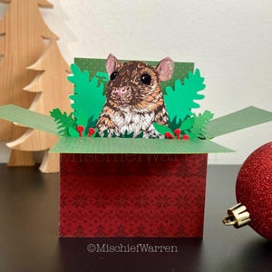 Carte de Noël de rat. Carte 3D boîte à rat, personnalisée. Porte-cartes cadeau de Noël.