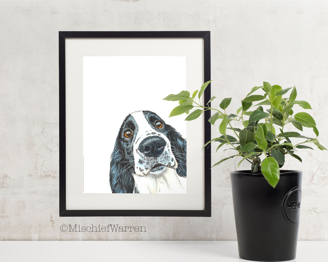 Spaniel Dog Art Print. Black and White Springer or Cocker Spaniel Print ...