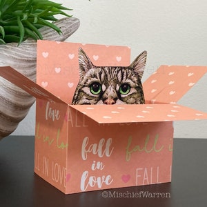 Grey Tabby Cat Card. The Original Cat in a Box Card. Personalised Valentines, Wedding, Anniversary Gift card holder.