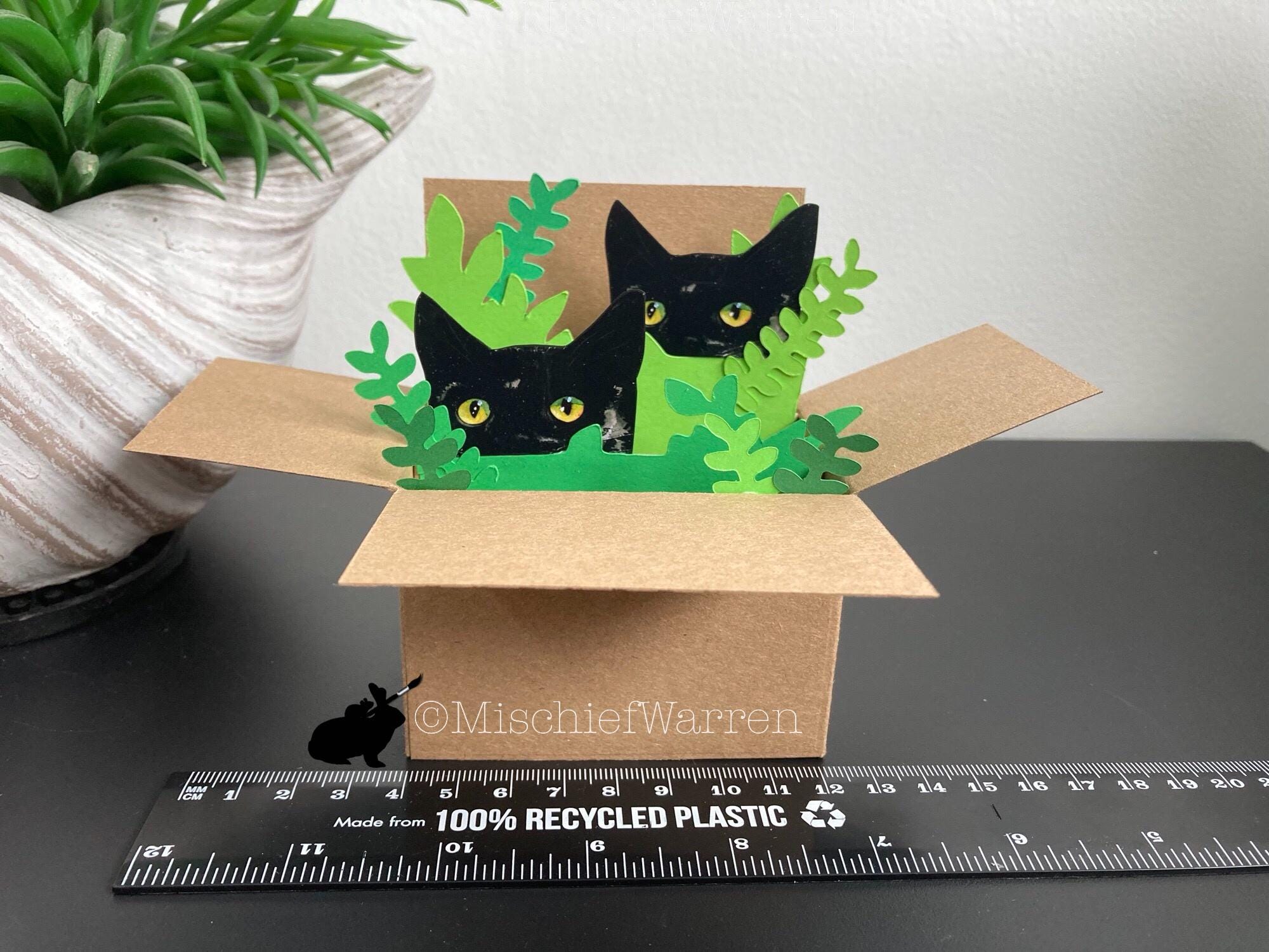 Custom Cats in a Box Card: Handmade, Personalised Gift Card Holder. - Etsy