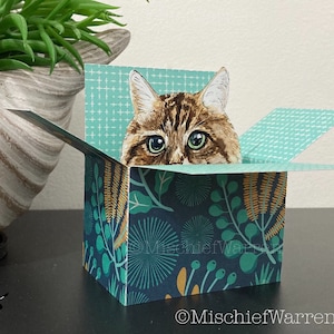 Brown Tabby Cat Card. The Original Cat in a Box Card. Personalised for; birthday, Mothers Day, Fathers day, Thank you. Gift card holder.