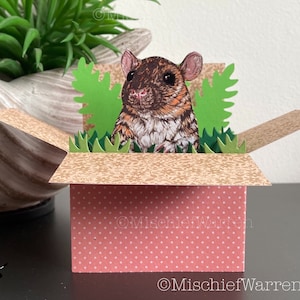 Carte de rat. Carte 3D vierge ou personnalisée ; anniversaire, merci, fête des mères, fête des pères, Noël. Porte-cartes cadeau.