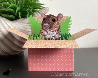 Carte de rat. Carte 3D vierge ou personnalisée ; anniversaire, merci, fête des mères, fête des pères, Noël. Porte-cartes cadeau.