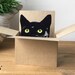 Black Cat Blank Box Card. The Original Cat in a box card. Personalised for any occasion for cat lover. Gift card holder. 