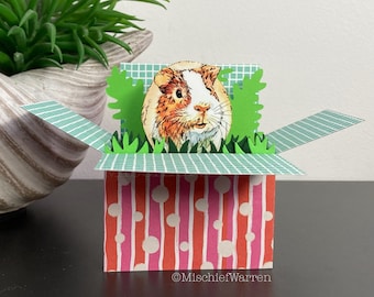 Guinea pig 3D Box Card. Personalised for any occasion; birthday, Mother’s Day, Father’s Day, thank you or Christmas. 3D Gift card holder.