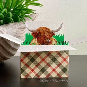 Puede incluir: Una tarjeta de felicitaci&oacute;n desplegable con una vaca de las Tierras Altas con pelaje marr&oacute;n rojizo, emergiendo de hierba verde. La tarjeta est&aacute; dentro de una caja con un patr&oacute;n de cuadros en rojo, verde y beige. La tarjeta est&aacute; abierta.