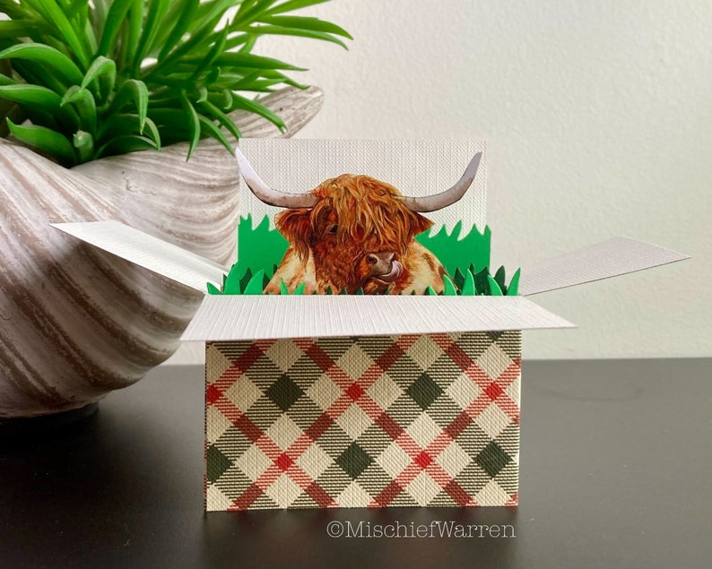 Puede incluir: Una tarjeta de felicitaci&oacute;n desplegable con una vaca de las Tierras Altas con pelaje marr&oacute;n rojizo, emergiendo de hierba verde. La tarjeta est&aacute; dentro de una caja con un patr&oacute;n de cuadros en rojo, verde y beige. La tarjeta est&aacute; abierta.
